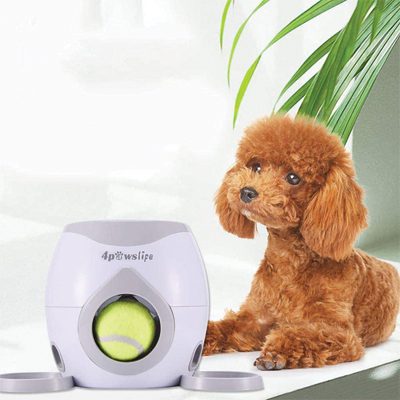 Interactive Treat And Ball Dispenser
