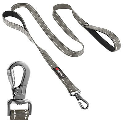 Double Handle Dog Leash