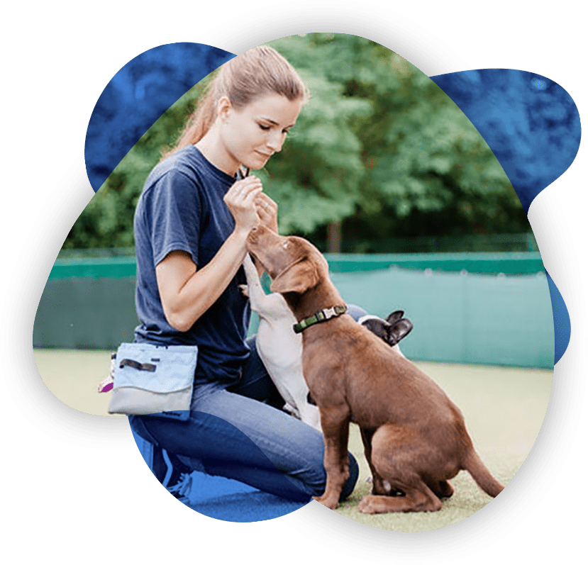 We understand dog training can be frustrating, that’s why we are here to help.