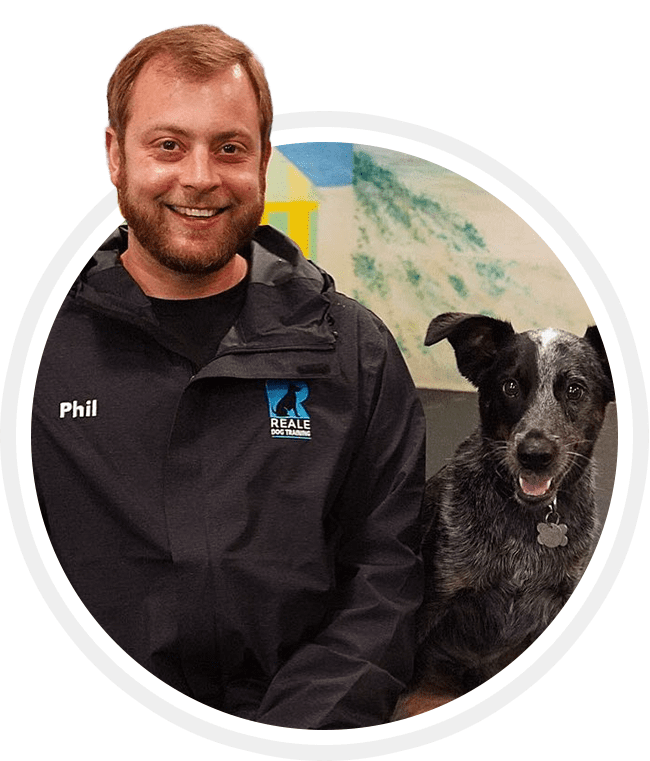 Phil Reale, Owner & Certified Karen Pryor Academy Dog Trainer Phil Reale, Owner & Certified Karen Pryor Academy Dog Trainer