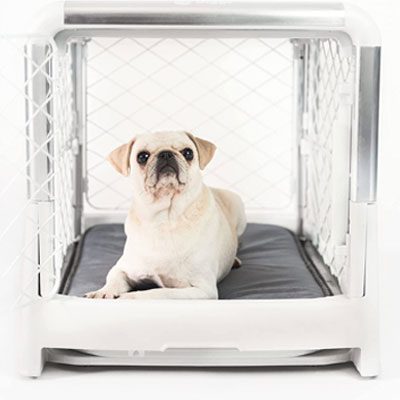 Diggs Revol Furniture Collapsible Dog Crate